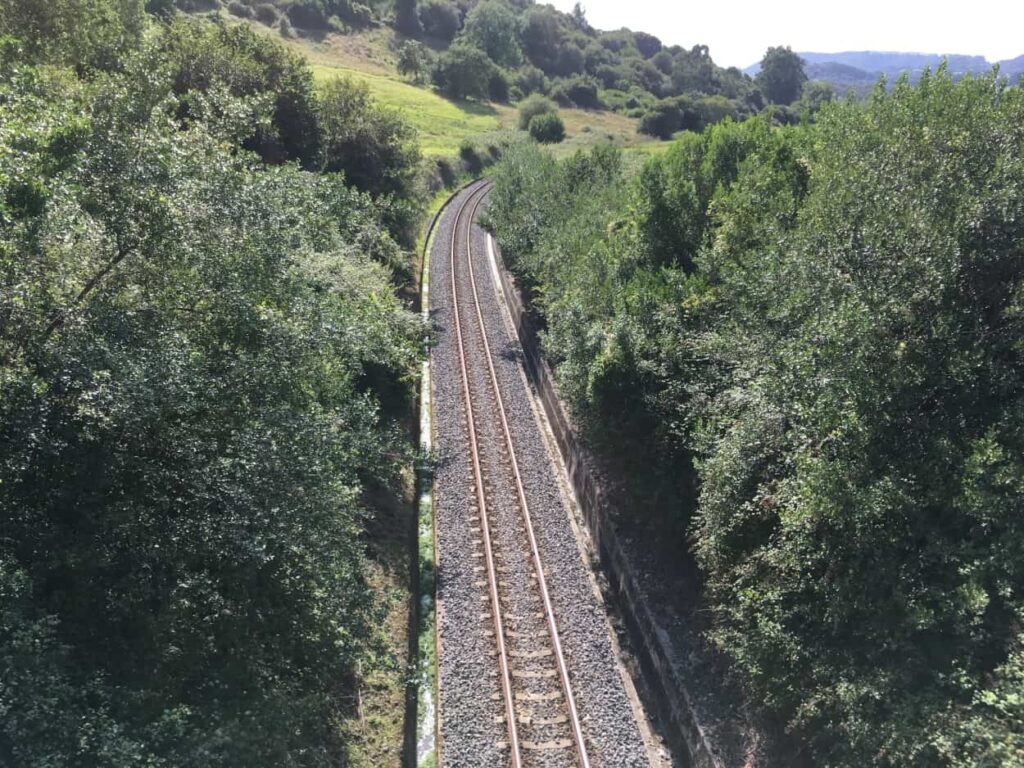 Los bosques de San Vicente – El Diario Montañés 3 El tren I