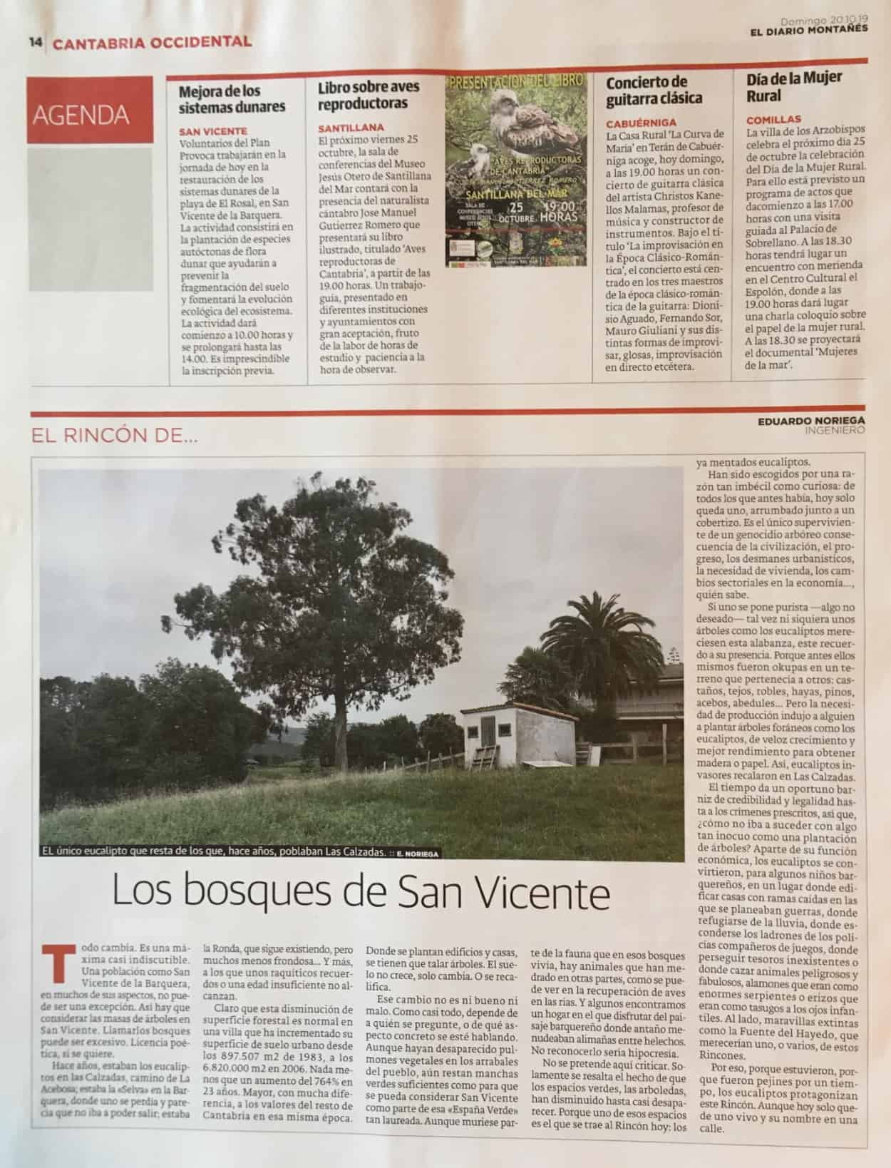 12-Los-Bosques-de-SVB-El-Diario-Montanes