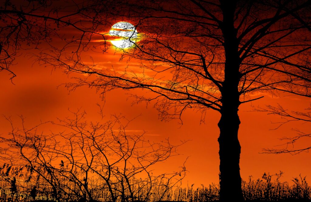 9 02 atardecer